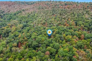 35 Warbler's Way, Berkeley Springs, WV 25411 - Photo 50