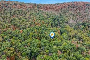 35 Warbler's Way, Berkeley Springs, WV 25411 - Photo 48