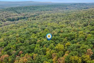 35 Warbler's Way, Berkeley Springs, WV 25411 - Photo 40