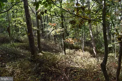 19 Mountain Laurel Drive, Berkeley Springs, WV 25411 - Photo 16