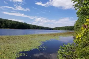 1971 Duckwall, Berkeley Springs, WV 25411 - Photo 62