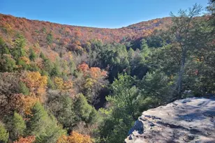 1971 Duckwall, Berkeley Springs, WV 25411 - Photo 64