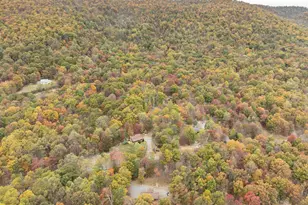 456 Parkside Terrace, Berkeley Springs, WV 25411 - Photo 24
