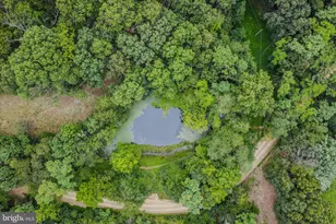 35 Sleepy View Ln, Berkeley Springs, WV 25411 - Photo 54