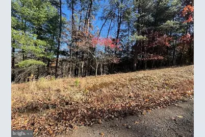 Runaway Court, Berkeley Springs, WV 25411 - Photo 12