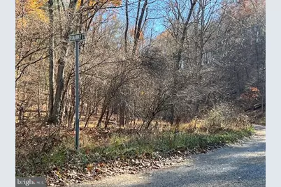 Runaway Court, Berkeley Springs, WV 25411 - Photo 2