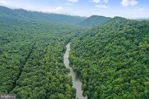 333 Rouse Mountain Rd, Great Cacapon, WV 25422 - Photo 52