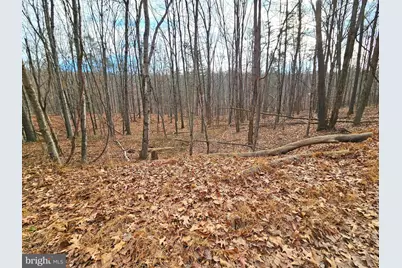 Lot 35 Oak Hill Road, Berkeley Springs, WV 25411 - Photo 1