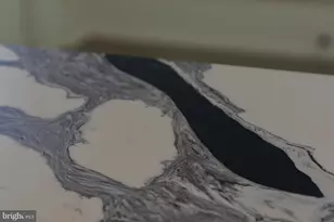 4352 Timber Ridge Rd, Berkeley Springs, WV 25411 - Photo 74