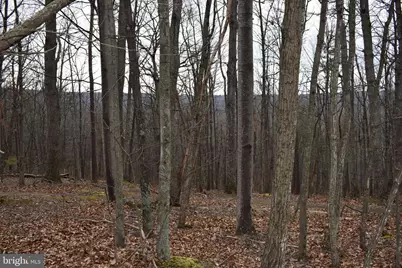 58 Birch Grove Lane, Berkeley Springs, WV 25411 - Photo 14