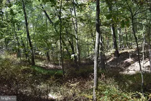 19 Mountain Laurel Dr, Berkeley Springs, WV 25411 - Photo 42