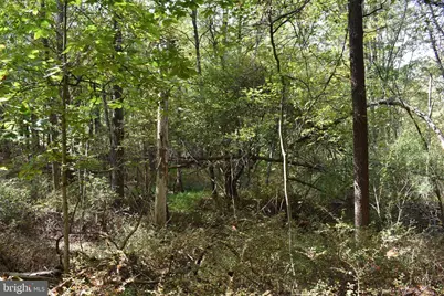 19 Mountain Laurel Drive, Berkeley Springs, WV 25411 - Photo 46