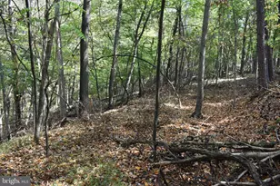 19 Mountain Laurel Dr, Berkeley Springs, WV 25411 - Photo 34