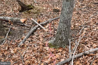 58 Birch Grove Lane, Berkeley Springs, WV 25411 - Photo 50