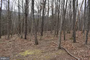 58 Birch Grove Ln, Berkeley Springs, WV 25411 - Photo 42