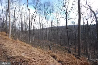 Sir Johns Run Road, Berkeley Springs, WV 25411 - Photo 28