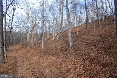 Sir Johns Run Road, Berkeley Springs, WV 25411 - Photo 36