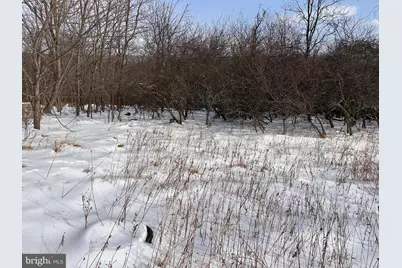 18.52Ac Winchester Grade Road, Berkeley Springs, WV 25411 - Photo 2