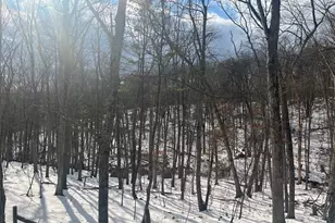 193 Hickory Hollow Rd, Berkeley Springs, WV 25411 - Photo 32