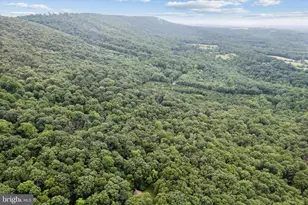 734 Log Cabin Ln, Berkeley Springs, WV 25411 - Photo 32