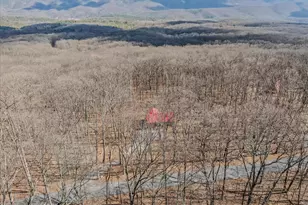 2910 Milo School Rd, Great Cacapon, WV 25422 - Photo 38