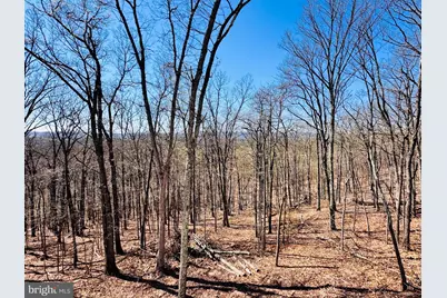 4307 Pious Ridge, Berkeley Springs, WV 25411 - Photo 2