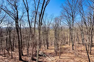 4307 Pious Ridge, Berkeley Springs, WV 25411 - Photo 2