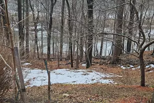 785 Stellar, Great Cacapon, WV 25422 - Photo 2