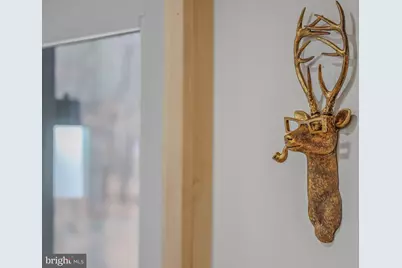 830 Wisteria Lane, Berkeley Springs, WV 25411 - Photo 20