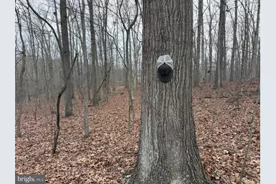 420 Coon Hollow Trail, Hedgesville, WV 25427 - Photo 34