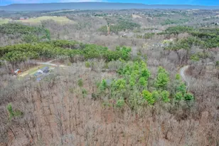 291 Dry Run Ln, Berkeley Springs, WV 25411 - Photo 44