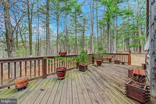 291 Dry Run Ln, Berkeley Springs, WV 25411 - Photo 28