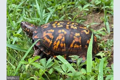 516 Roberts Road, Great Cacapon, WV 25422 - Photo 32