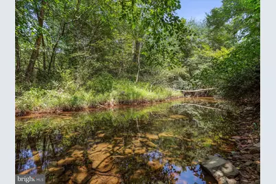 1704 Posey Hollow, Berkeley Springs, WV 25411 - Photo 2