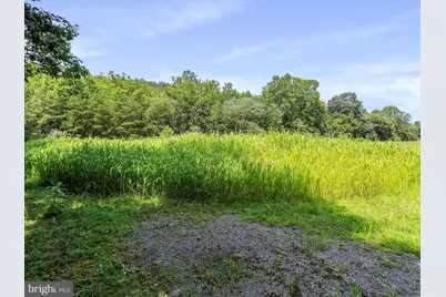 1704 Posey Hollow, Berkeley Springs, WV 25411 - Photo 6