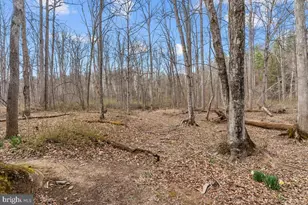 442 Foggy Bottom Ln, Berkeley Springs, WV 25411 - Photo 56