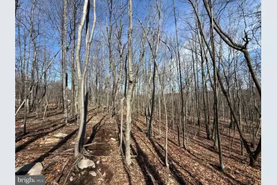 590 Parkside Terrace, Berkeley Springs, WV 25411 - Photo 8