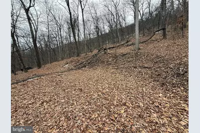 Warbler's Way, Berkeley Springs, WV 25411 - Photo 2