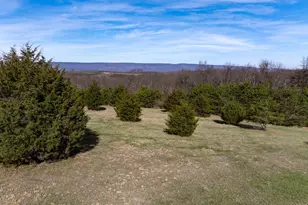 10 Jordan Hollow Ln, Berkeley Springs, WV 25411 - Photo 74