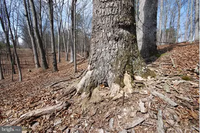 Martin Lane, Berkeley Springs, WV 25411 - Photo 6