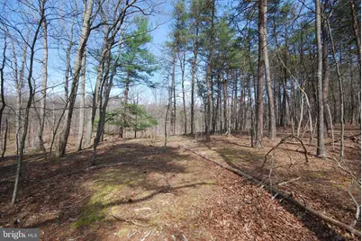 Martin Lane, Berkeley Springs, WV 25411 - Photo 20