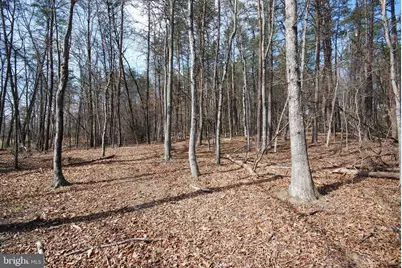 Martin Lane, Berkeley Springs, WV 25411 - Photo 16