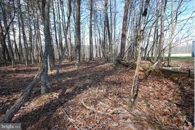 Martin Lane, Berkeley Springs, WV 25411 - Photo 14