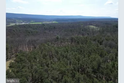 Martin Lane, Berkeley Springs, WV 25411 - Photo 10