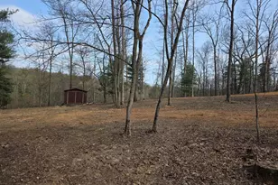 430 Homewood Hollow Ln, Berkeley Springs, WV 25411 - Photo 10