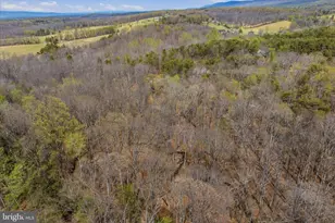 264 Clear Spring Ln, Berkeley Springs, WV 25411 - Photo 30