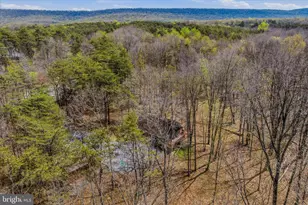 264 Clear Spring Ln, Berkeley Springs, WV 25411 - Photo 24