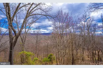 295 Greenwoods Drive, Berkeley Springs, WV 25411 - Photo 14
