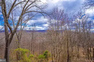 295 Greenwoods Dr, Berkeley Springs, WV 25411 - Photo 14