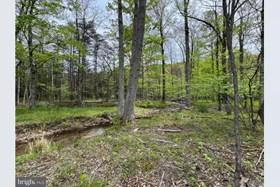 Rock Gap, Berkeley Springs, WV 25411 - Photo 12